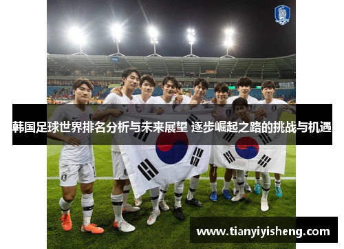 韩国足球世界排名分析与未来展望 逐步崛起之路的挑战与机遇