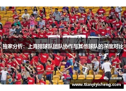 独家分析：上海排球队团队协作与其他球队的深度对比